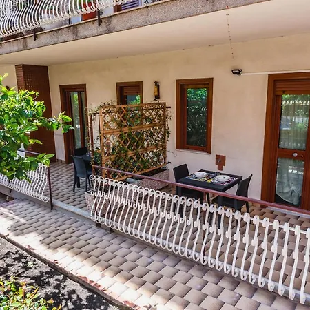 Lemon Tree By Wonderful Italy